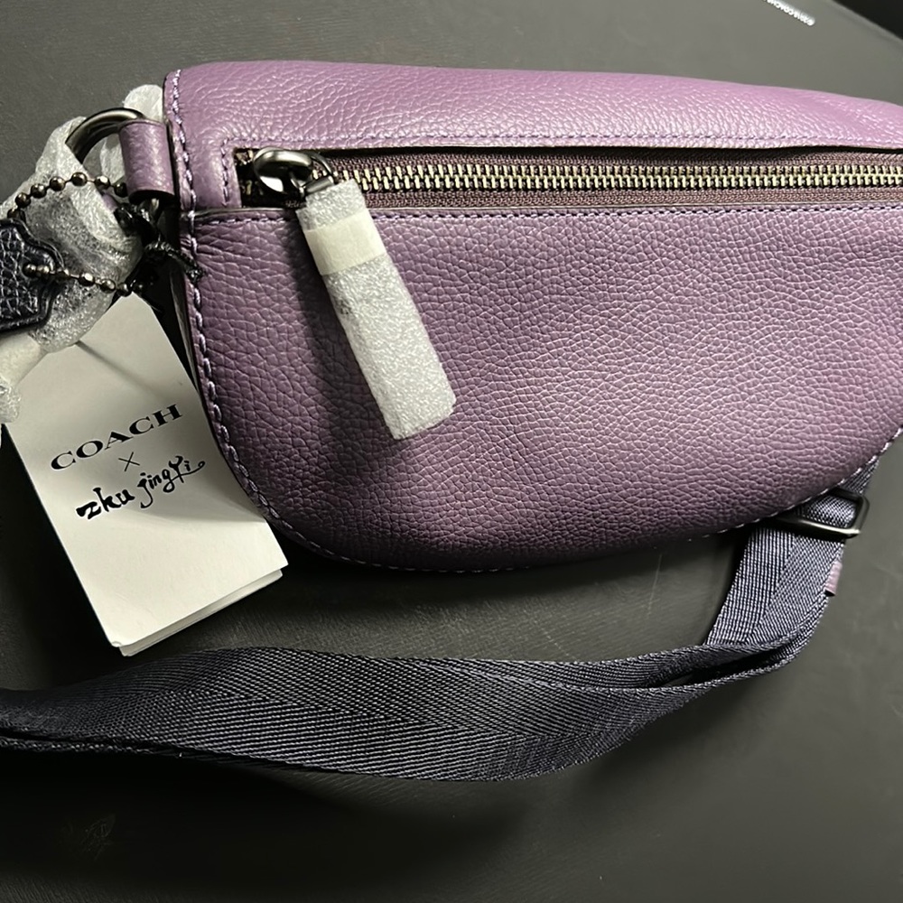 Coach X Zhu Jingyi Rexy Dinosaur Keychain Belt bag Fanny Crossbody Leather Purse - Picture 7 of 12